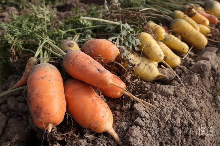 fe8b076ed0f8aa542880f