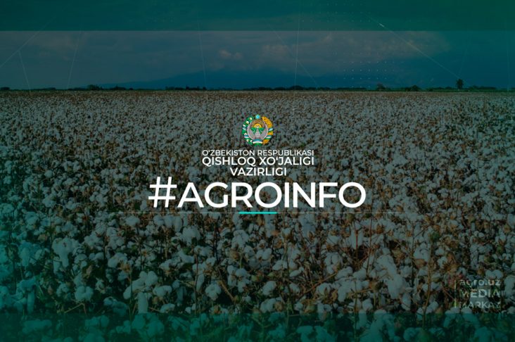 Agroinfo_0007