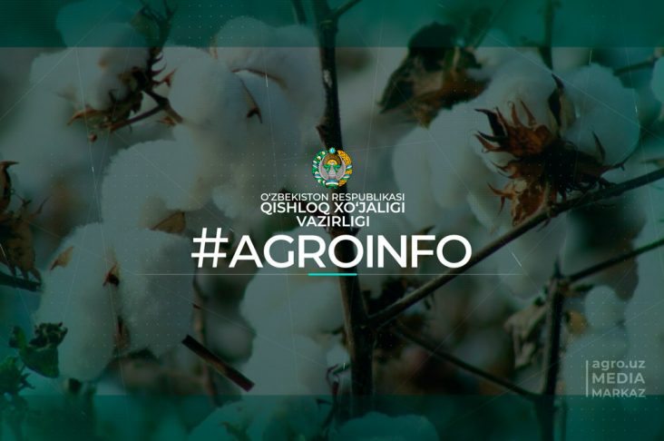 agroinfo_v