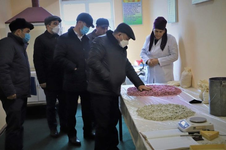 photo_2022-01-23_0-31