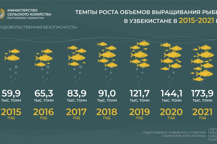 баликчилик рус