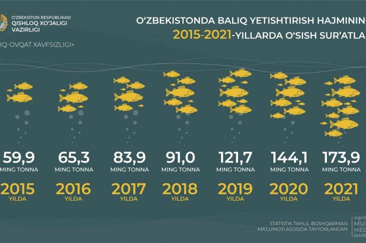 баликчилик узб