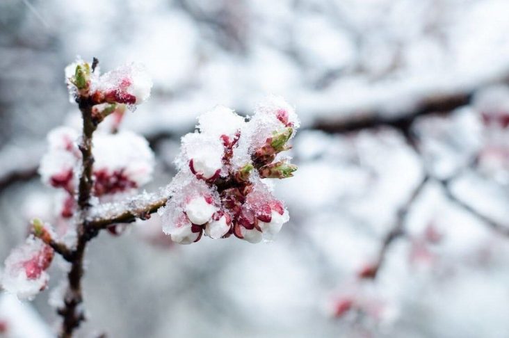 photo_2022-03-17_22-16-03