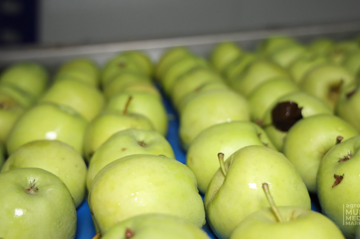 АГРО_Маслахат.00_01_03_24.Still019