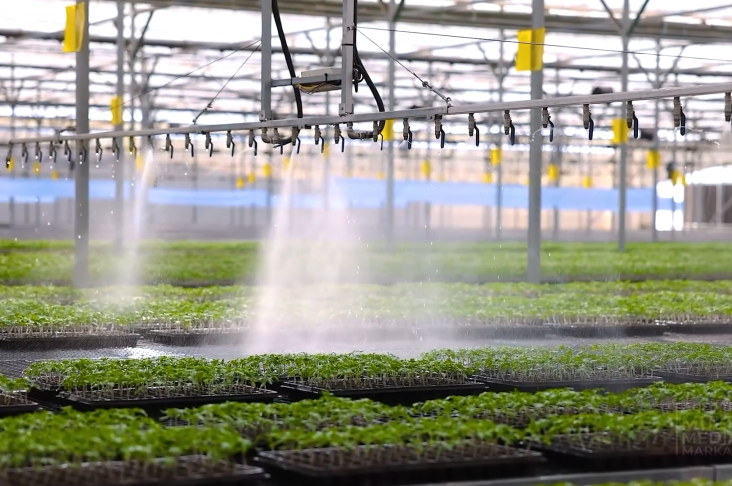 AKIS 15.03.2022.00_07_37_47.Still002