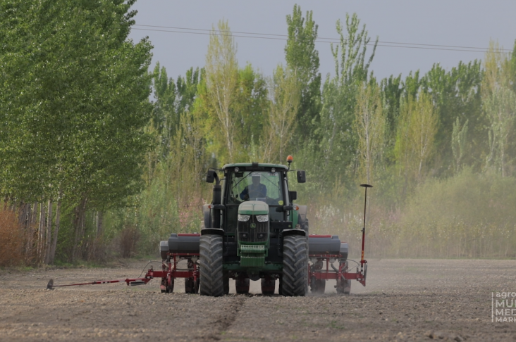 Хлопок и Соя.00_10_05_15.Still010