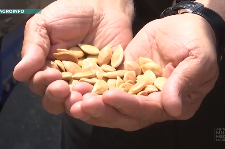 image_2022-04-11_20-42-58