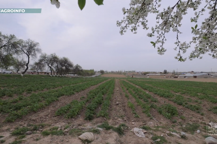 image_2022-04-14_21-59-01