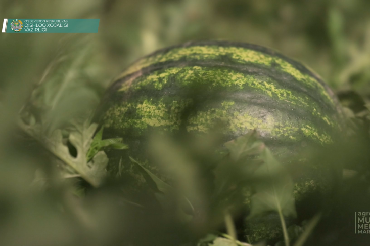 image_2022-04-20_20-20-08