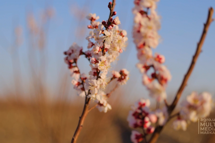 IMG_20220407_201415_783