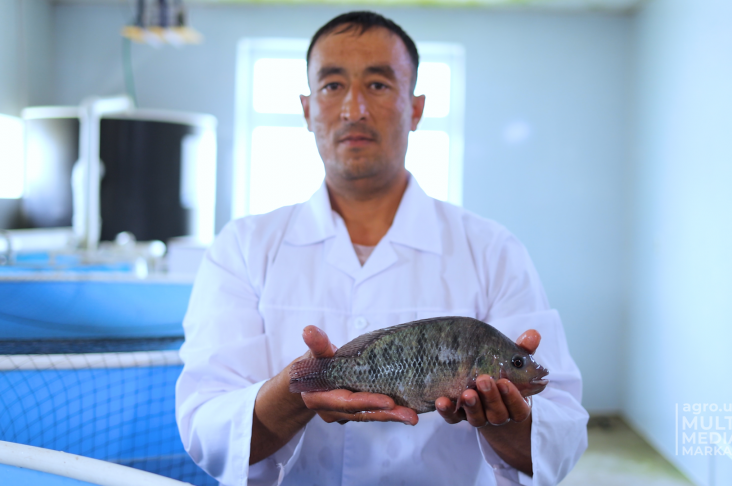 kartoshka.00_01_47_14.Still013