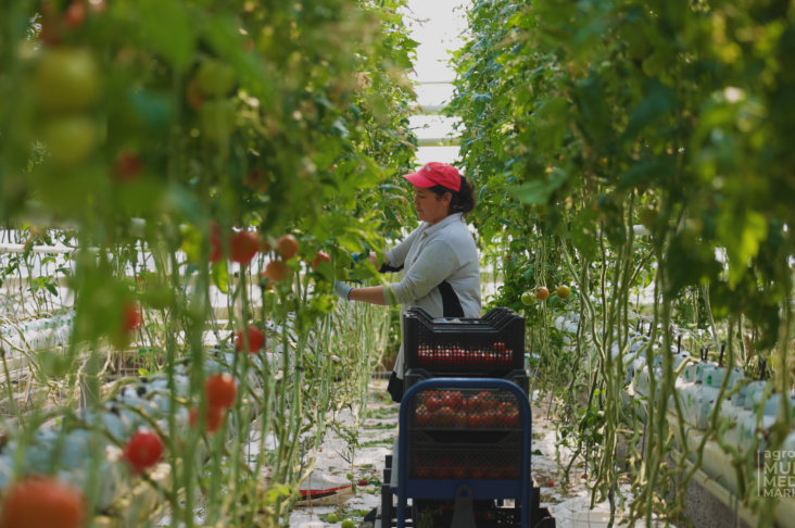 МАСТЕР.00_00_39_21.Still008