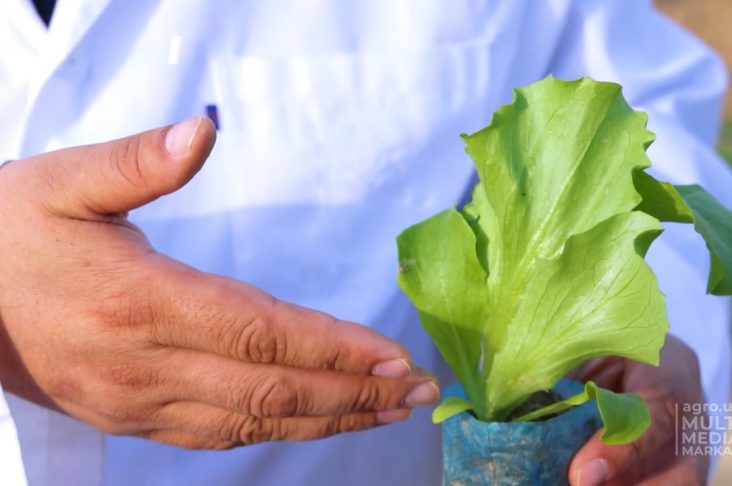 photo_2022-04-02_11-23-49