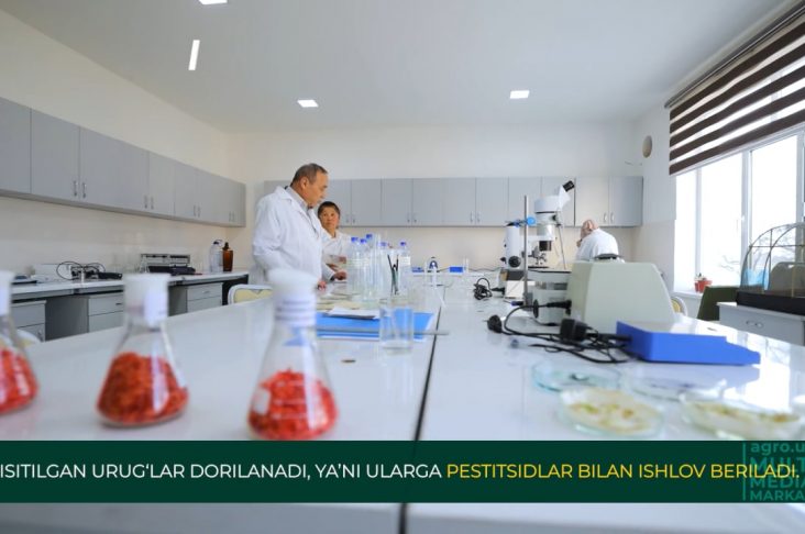 photo_2022-04-15_23-29-33