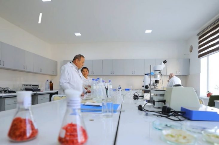 photo_2022-04-15_23-29-33