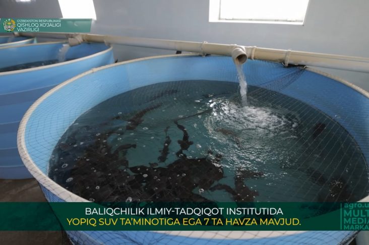 photo_2022-04-21_10-33-00