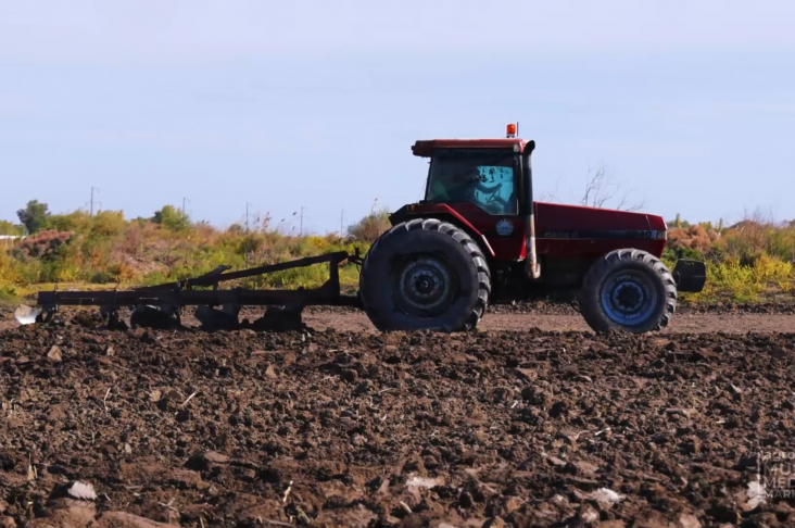 ПШЕНИЦА.00_03_14_01.Still001