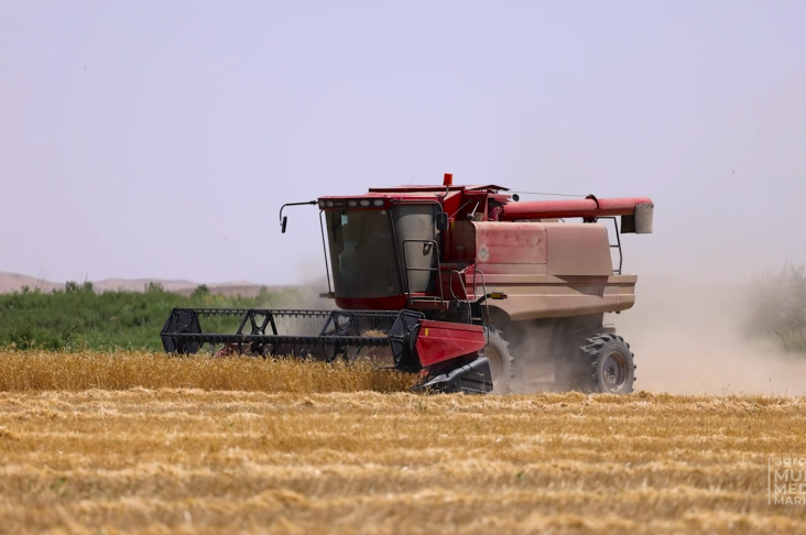 ПШЕНИЦА.00_04_28_08.Still009