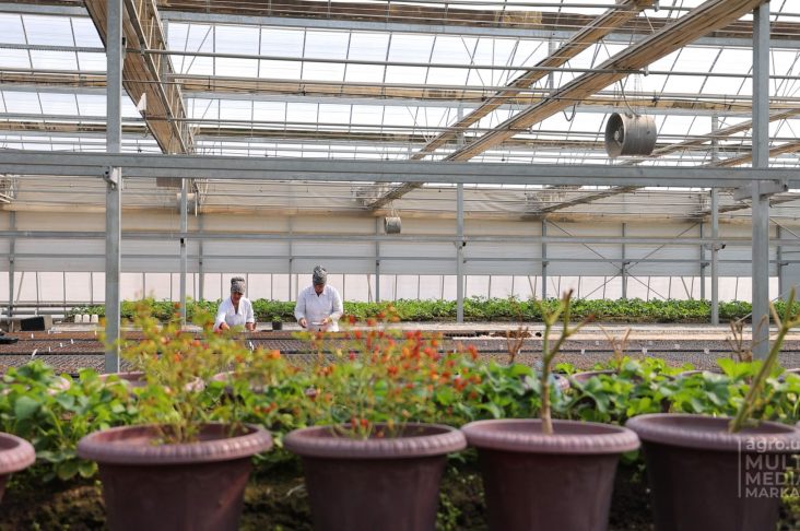 savol javob.00_26_06_22.Still034