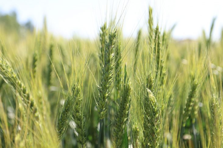 20220507092828_0E1A4200