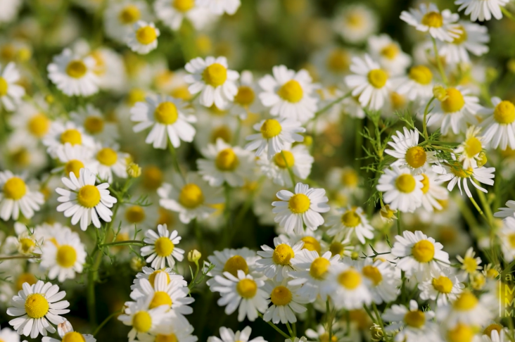 image_2022-05-12_16-02-22