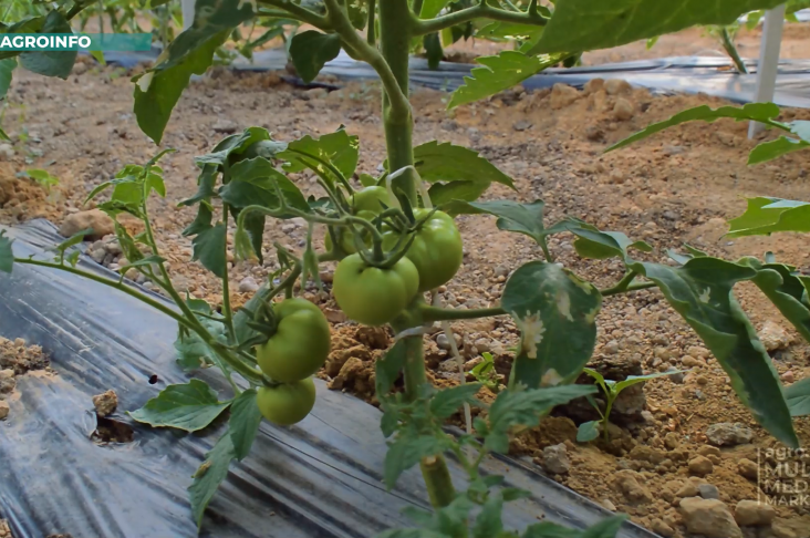 image_2022-05-14_10-50-21