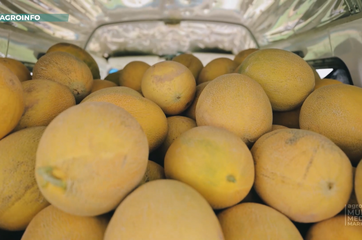 image_2022-05-14_17-26-10