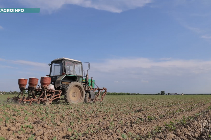 image_2022-05-17_15-10-40