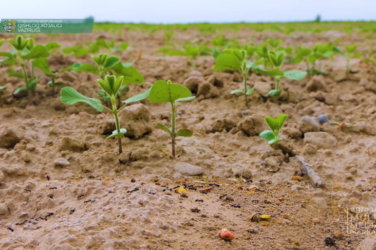 image_2022-05-18_15-21-47