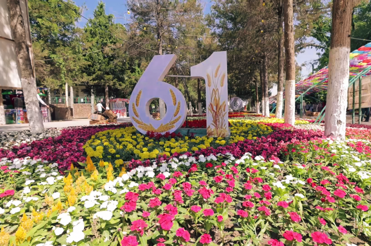 image_2022-05-20_13-45-30x