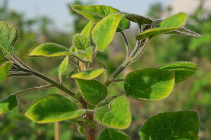 image_2022-05-23_14-40-31