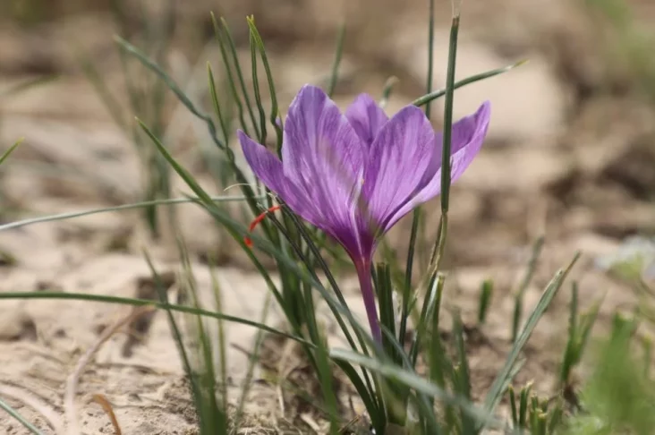 IMG_20220521_113321_804