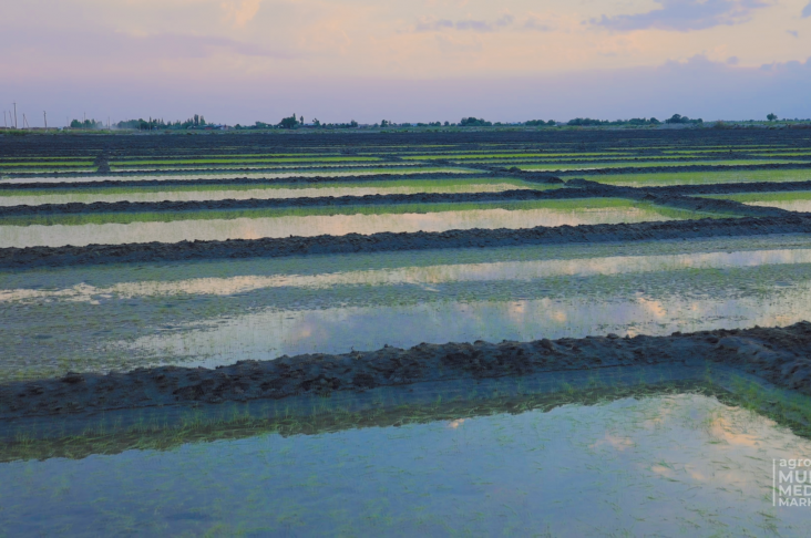 IMG_20220528_135526_342