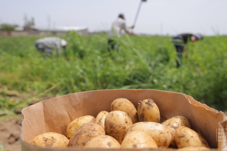 ИСХОД.00_04_10_09.Still004