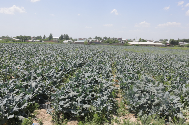 ИСХОД.00_05_01_03.Still044