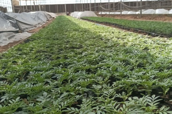 photo_2022-05-06_16-20-18