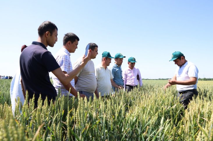 photo_2022-05-18_22-24-24