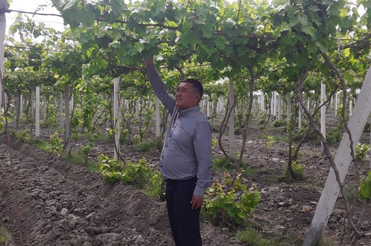 photo_2022-05-24_17-17-55