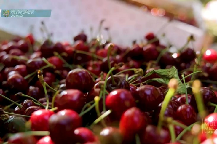 photo_2022-05-25_10-43-11