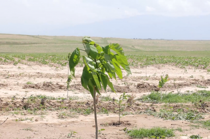 СОЯ кадры 2.mp4_snapshot_00.19.486