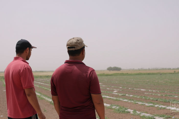 Темир Дафтар.00_12_24_23.Still012