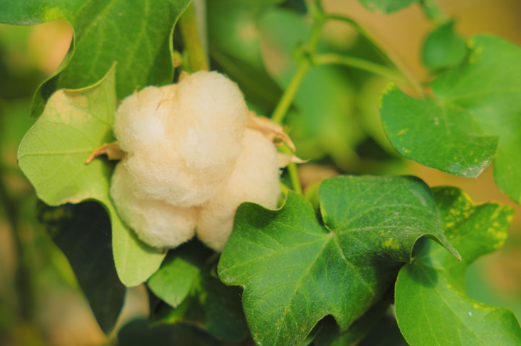 image_2022-06-07_09-54-41