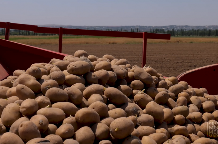 image_2022-06-09_17-09-53