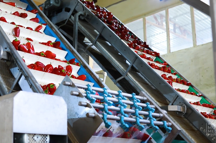 image_2022-06-20_18-04-38