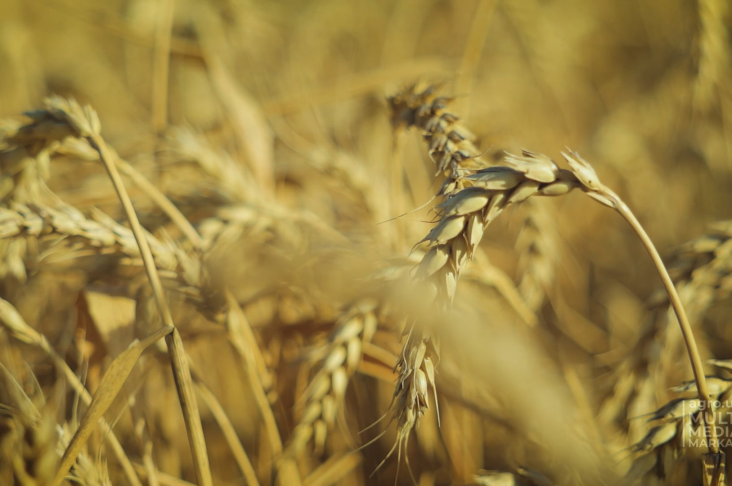 image_2022-06-21_13-08-56