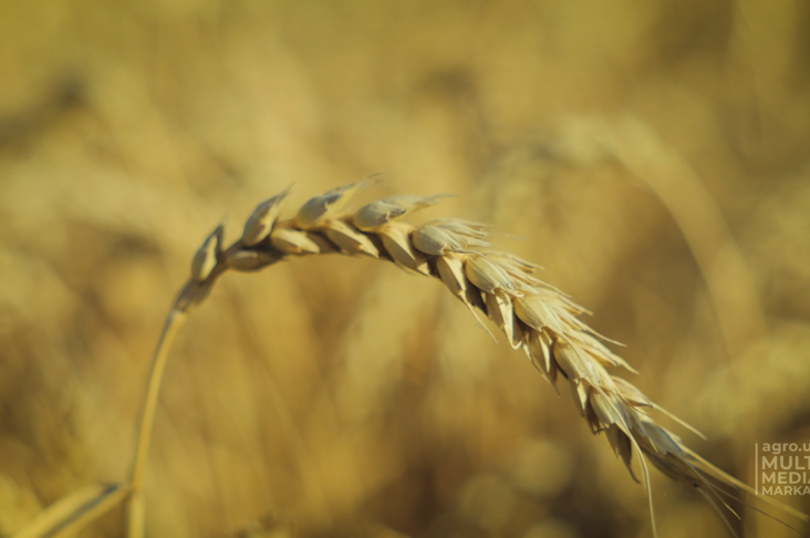 image_2022-06-21_13-09-54