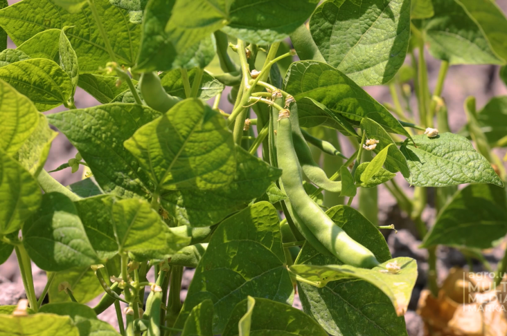 image_2022-06-22_17-37-41