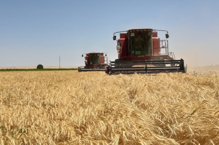 IMG_20220613_122351_584