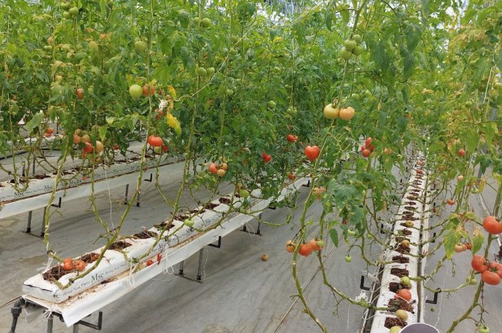 IMG_20220614_102208_451