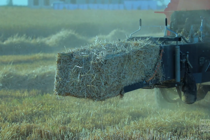 IMG_20220624_181014_029